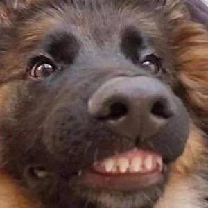 Meet your Posher, Justin